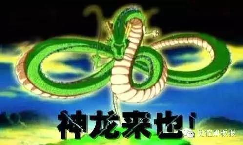 圖1 神龍