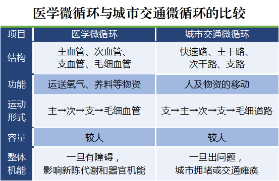 圖6 醫(yī)學微循環(huán)與城市交通微循環(huán)比較